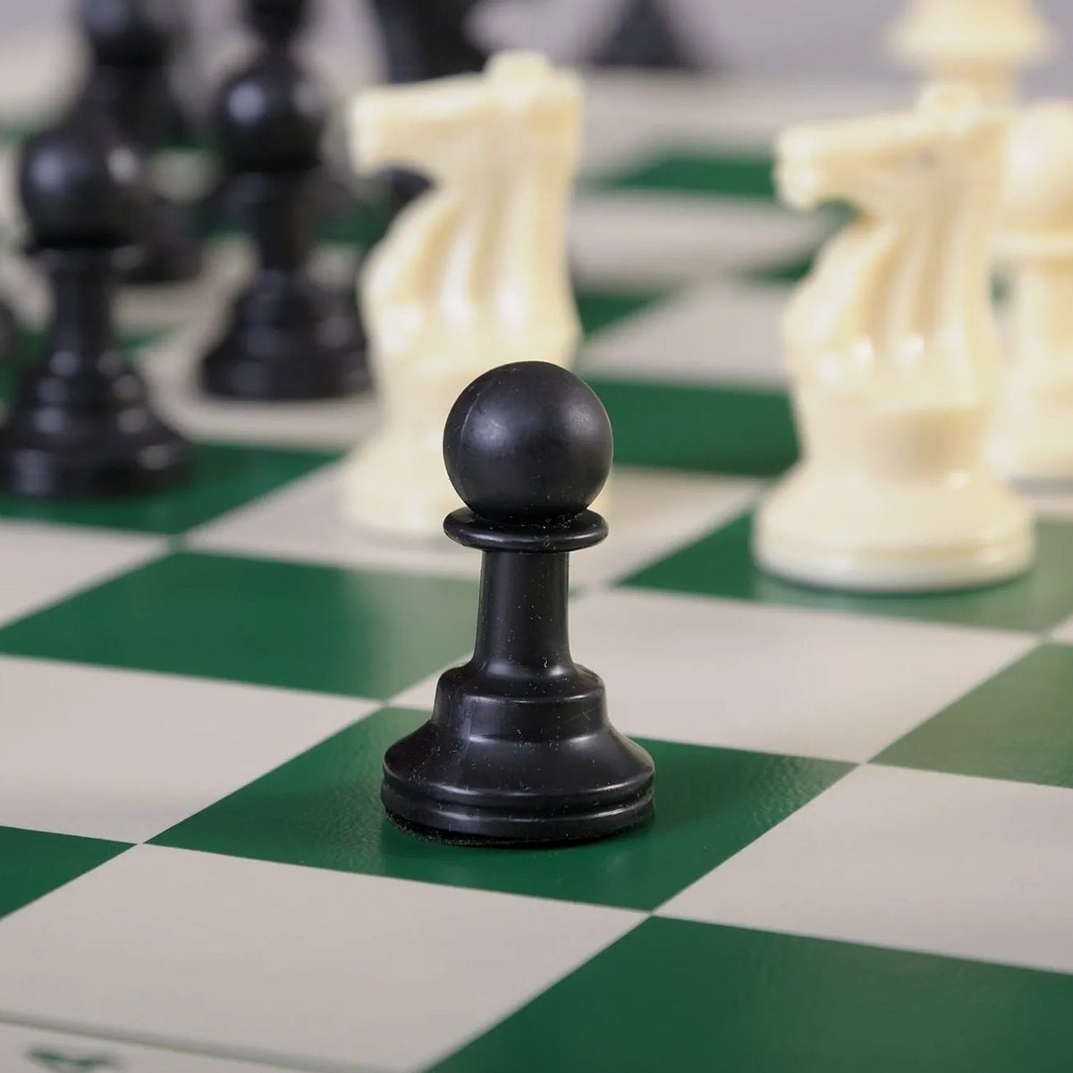 Organized plastic pouch storing all components of portable chess set
