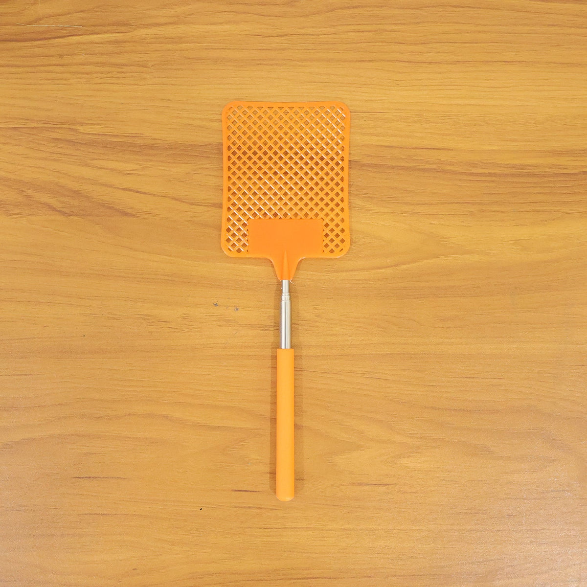 Extendable insect swatter for high spots and corners