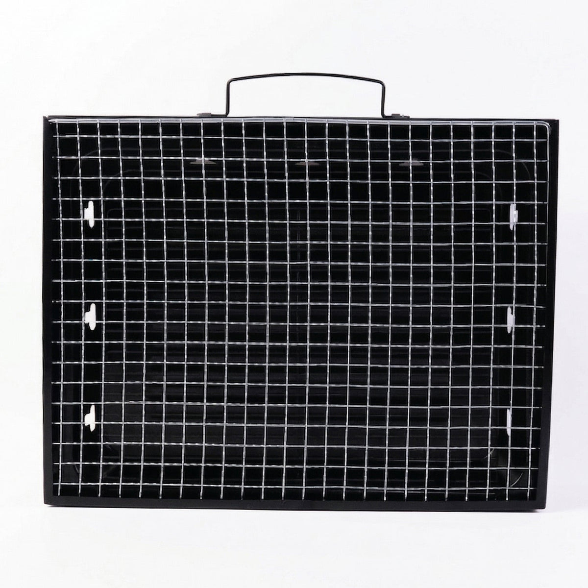 Portable charcoal grill with steel mesh surface